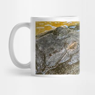 Headshot of the Alligator 2 Mug